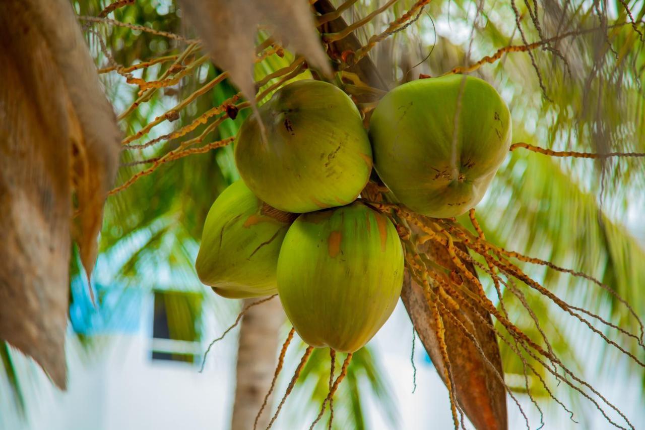 Pwani Beach Boutique Hotel Zanzibar Làng Làng Pwani Mchangani Ngoại thất bức ảnh